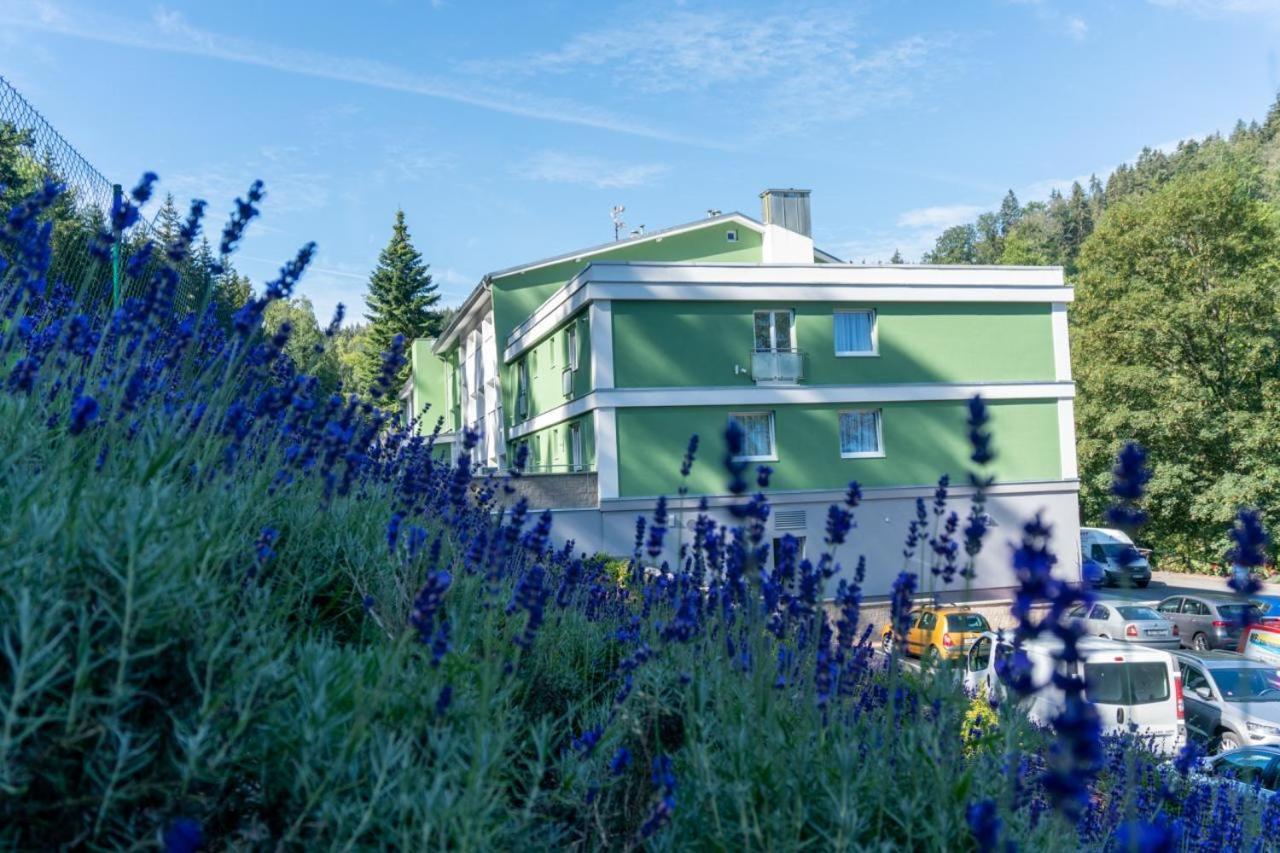 Wellness Hotel Green Paradise Brezova  Екстер'єр фото