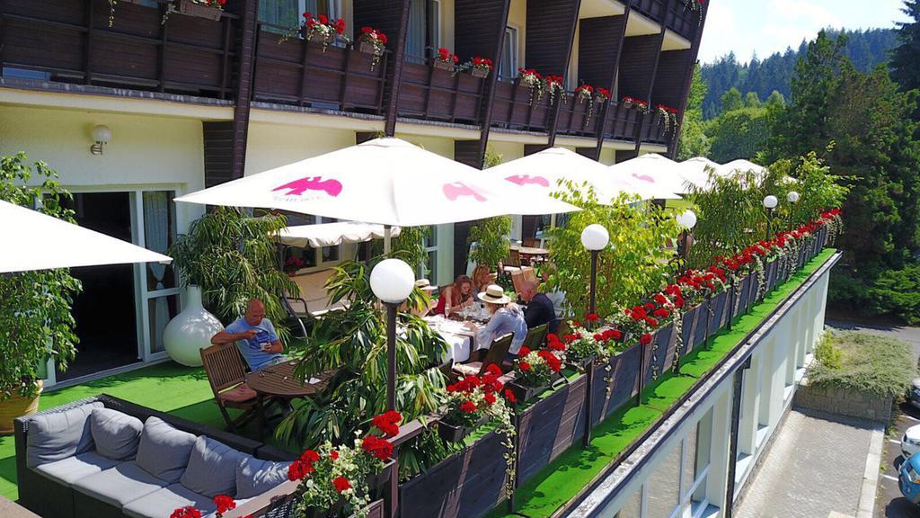 Wellness Hotel Green Paradise Brezova  Екстер'єр фото